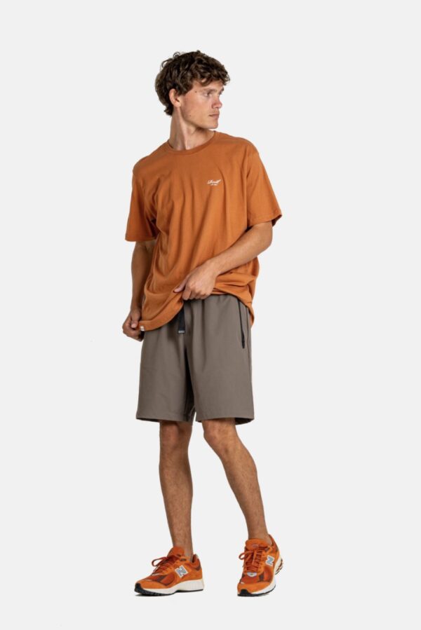 REELL Bermuda " REFLEX TERRA SHORT GREY GREEN " color gris