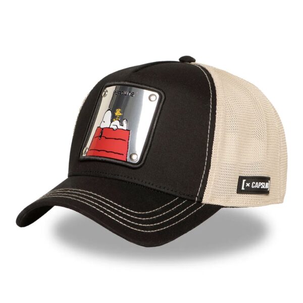 CAPSLABGorra"PEA6 PCTNAW6B"