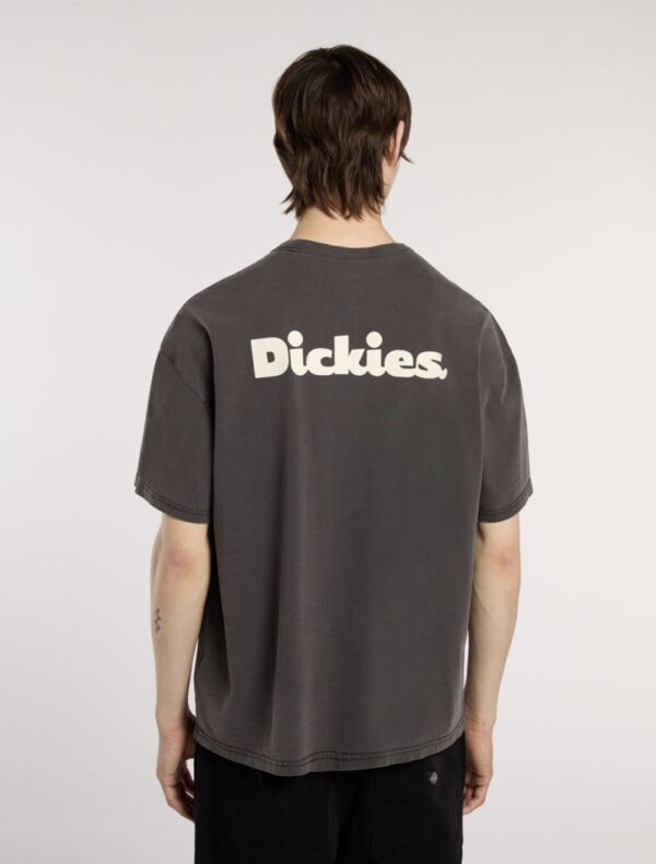 DIKIESCamiseta"SLAYDEN GD TEE SS"color negro