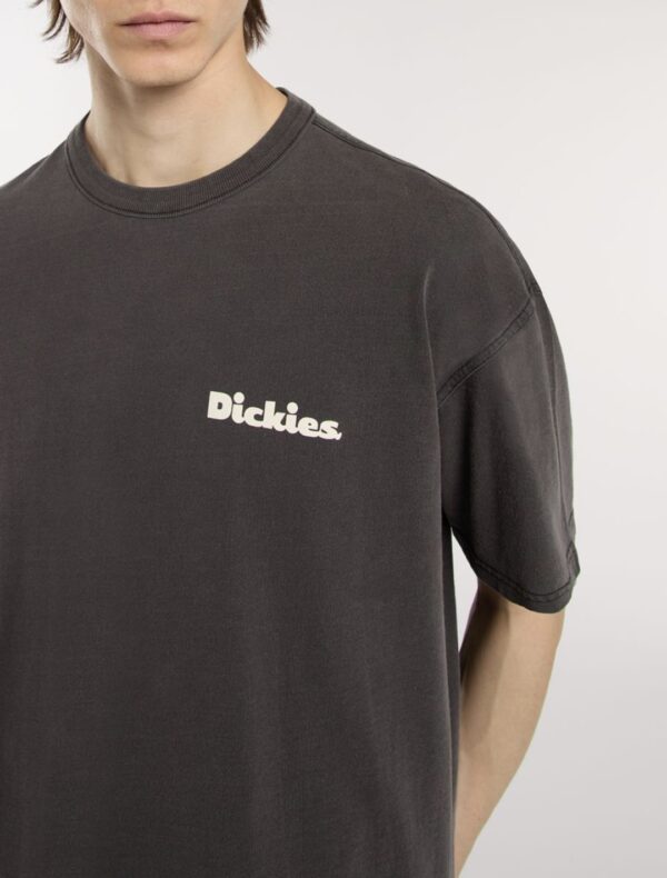 DIKIESCamiseta"SLAYDEN GD TEE SS"color negro