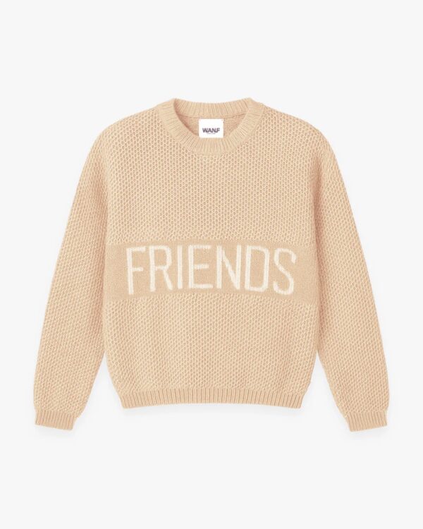 WE ARE NOT FRIENDSJersey"Friends Knit Sweater"color beige