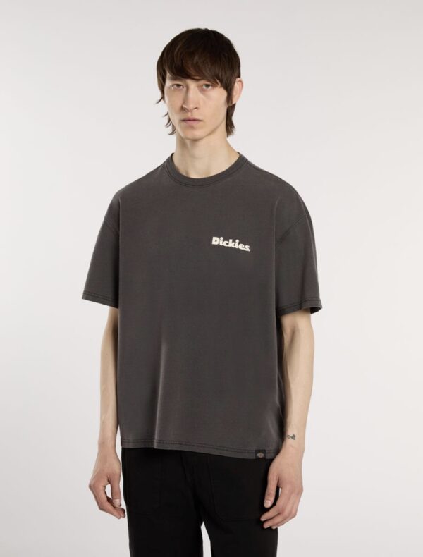 DIKIESCamiseta"SLAYDEN GD TEE SS"color negro