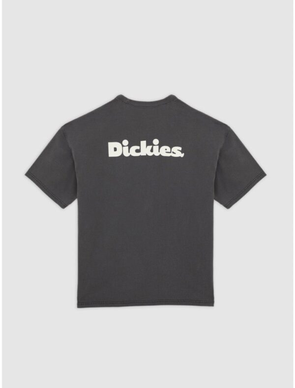DIKIESCamiseta"SLAYDEN GD TEE SS"color negro