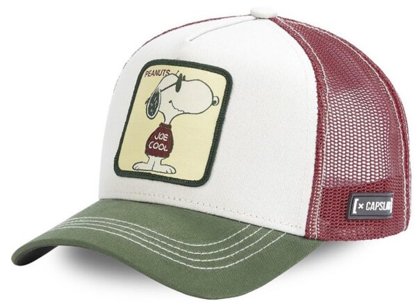 CAPSLABGorra"PEA JOE"